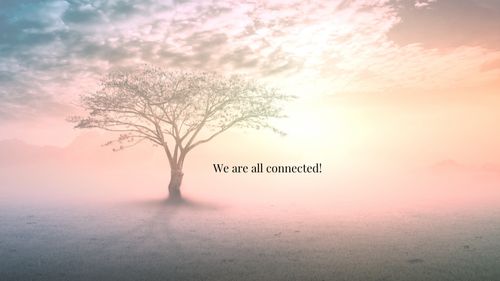 Ancestral Healing Meditation